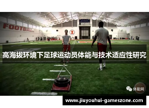 高海拔环境下足球运动员体能与技术适应性研究